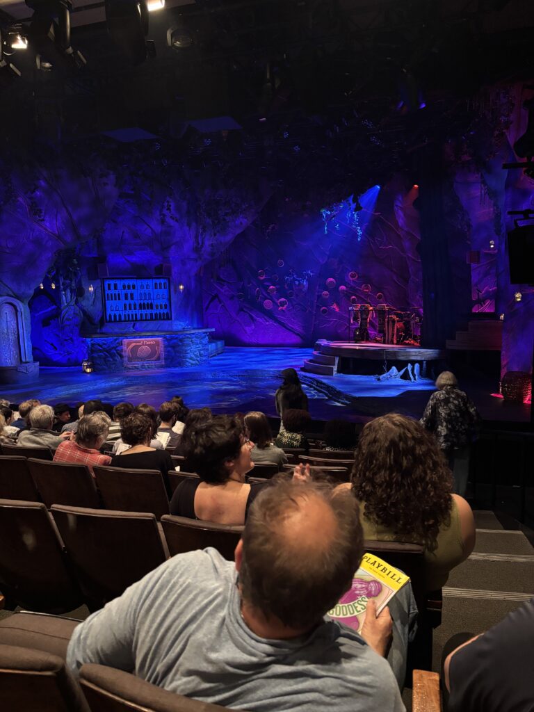 photo of the stage and set