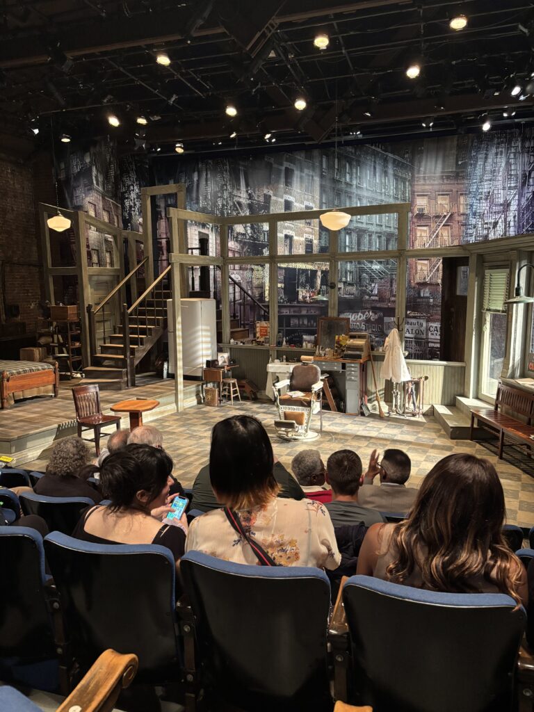 an audience looks at the stage for the show "ceremonies in dark old men"